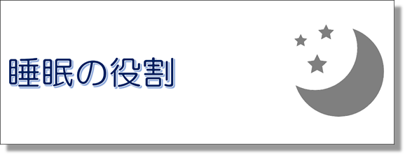 睡眠の役割のリンクボタン