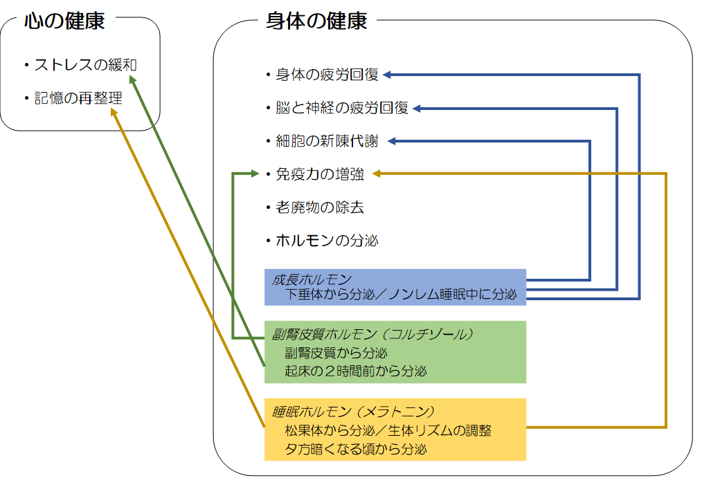 心と身体の健康バランスを図るための相関図